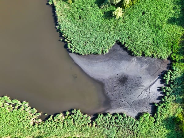 What a Dry Season Taught the Canal Pilots