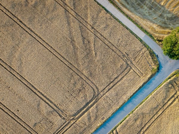The Grain Corridor, Told by the People Who Load It