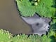 What a Dry Season Taught the Canal Pilots