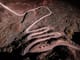 Live: Copper Jumps After a Landslide Cuts an Andean Mine Road