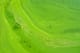 The Green Premium Belongs on the Bill of Lading