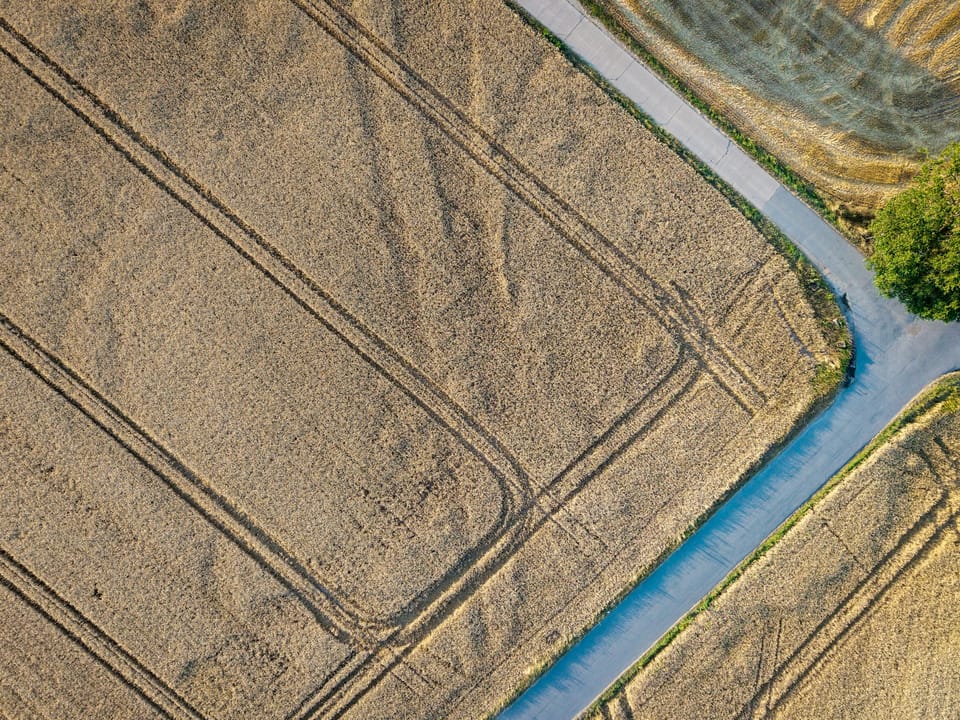 The Grain Corridor, Told by the People Who Load It