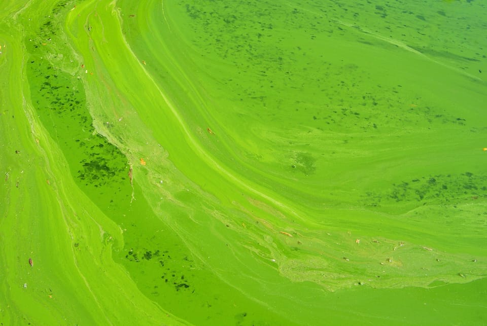 The Green Premium Belongs on the Bill of Lading